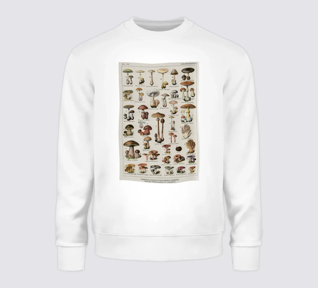 funghi felpa da Amber Hughes