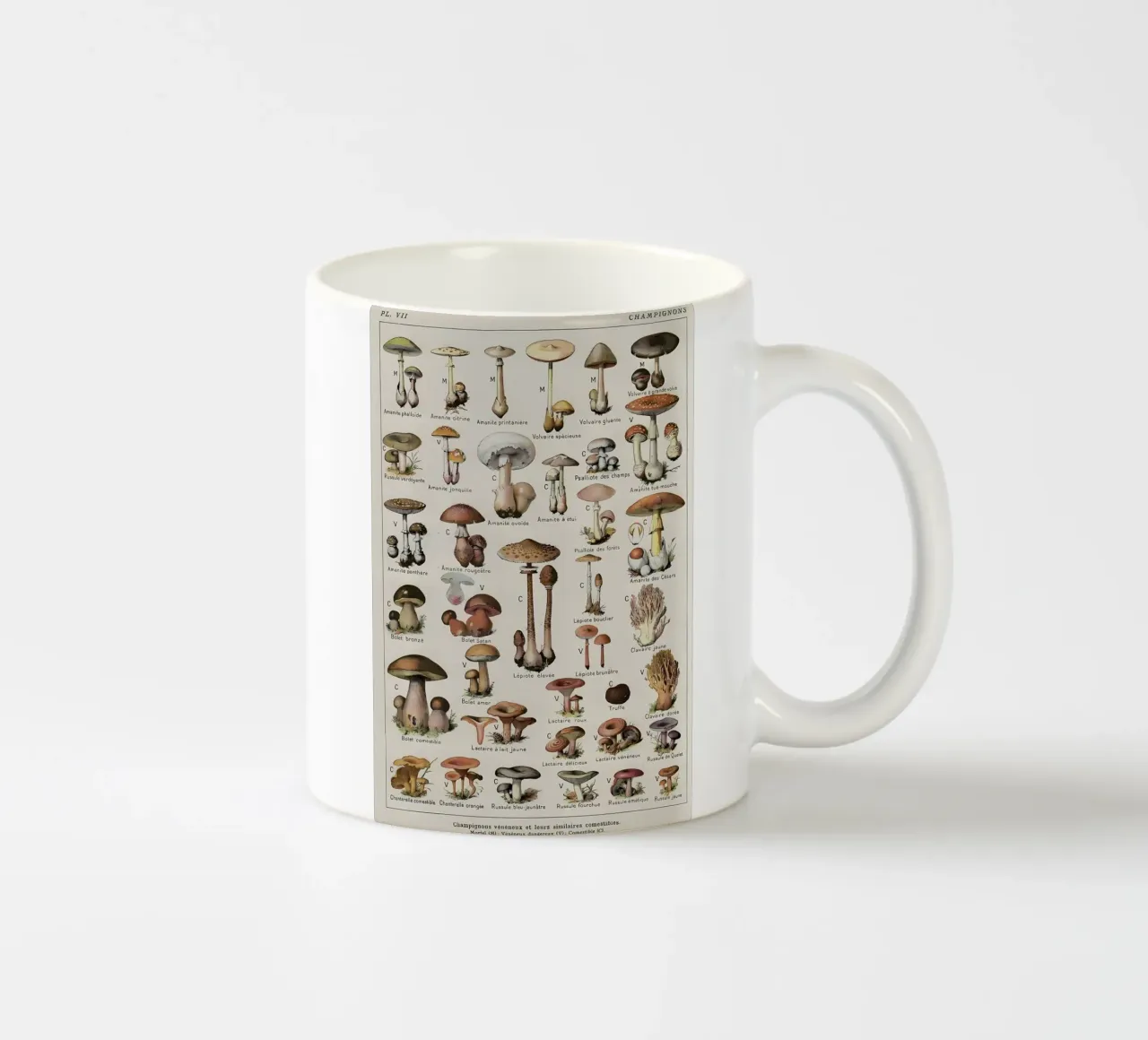 funghi tazza in ceramica da Amber Hughes