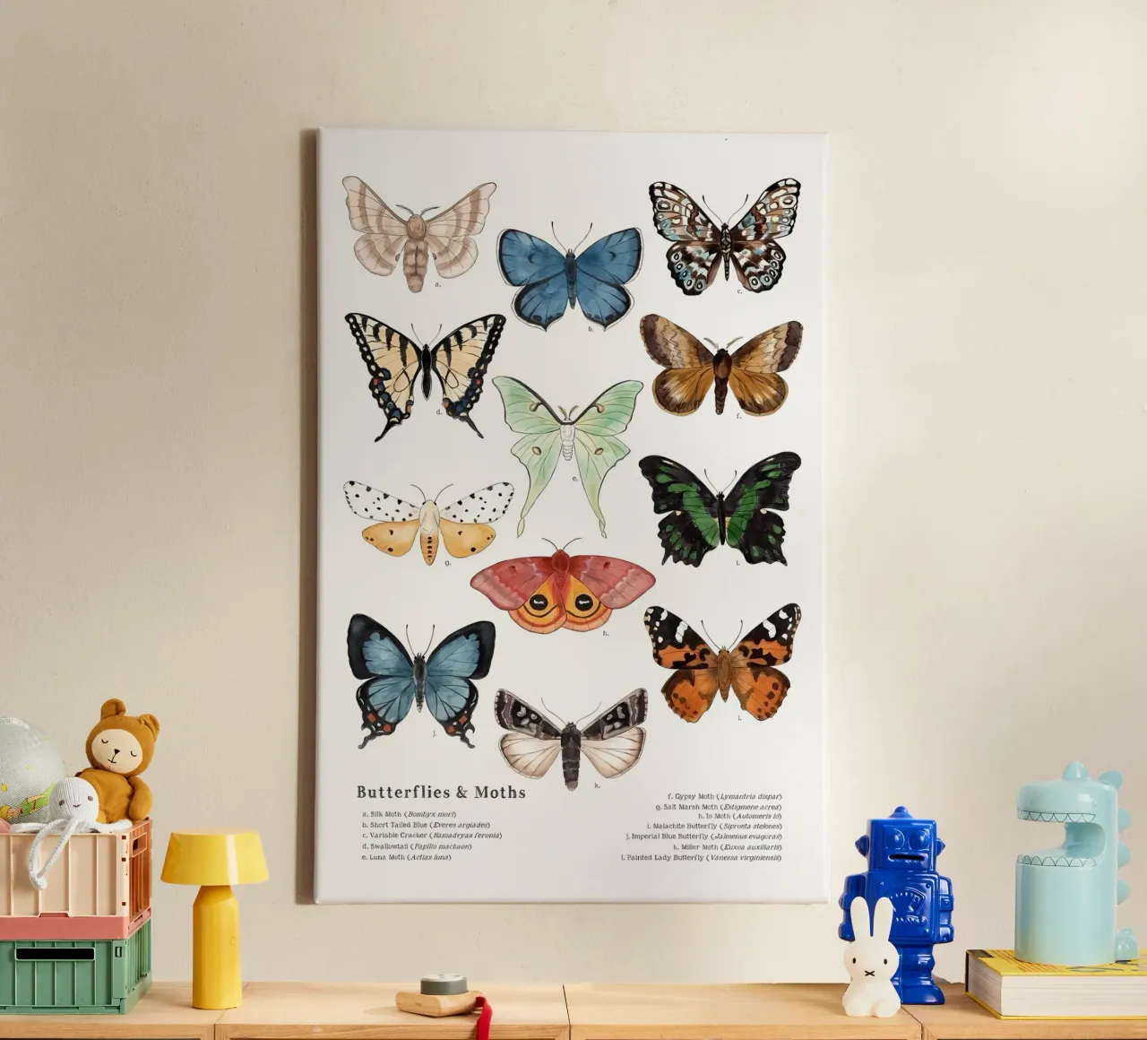 vlinders motten canvas met Baklijst van Amber Hughes