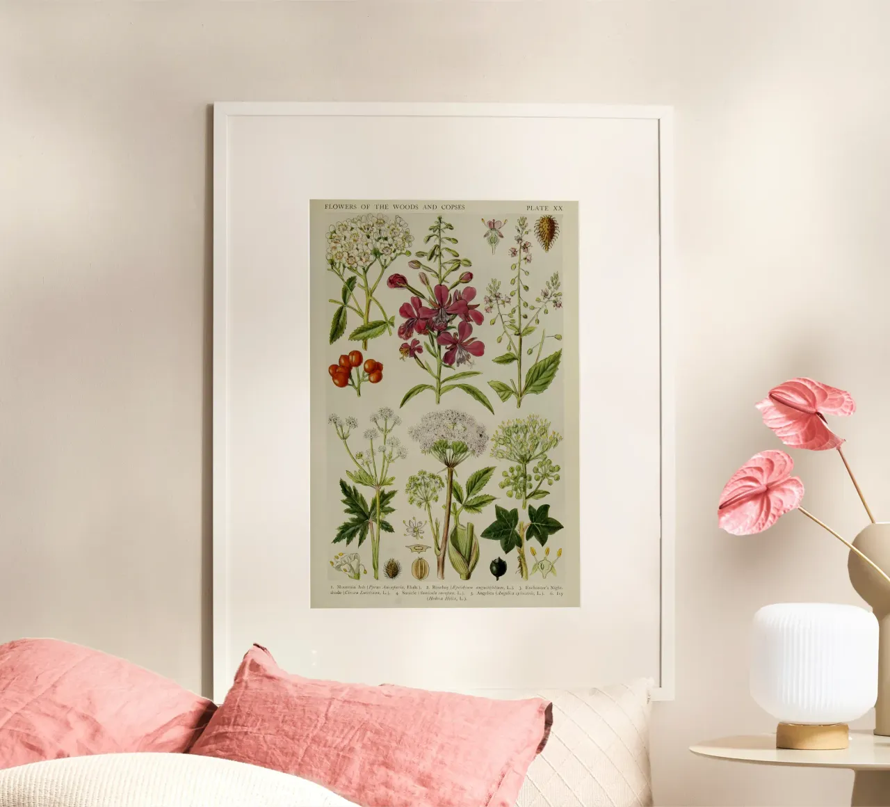 identificazione delle piante fiori selvatici poster da Amber Hughes