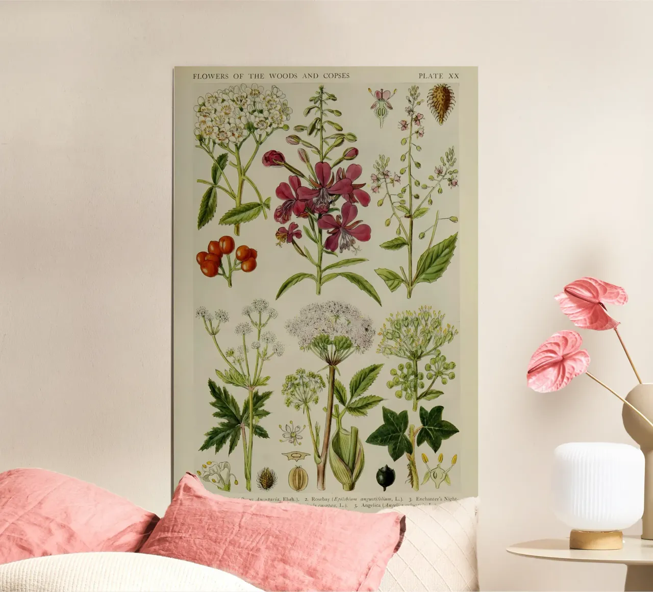 identificazione delle piante fiori selvatici poster da Amber Hughes