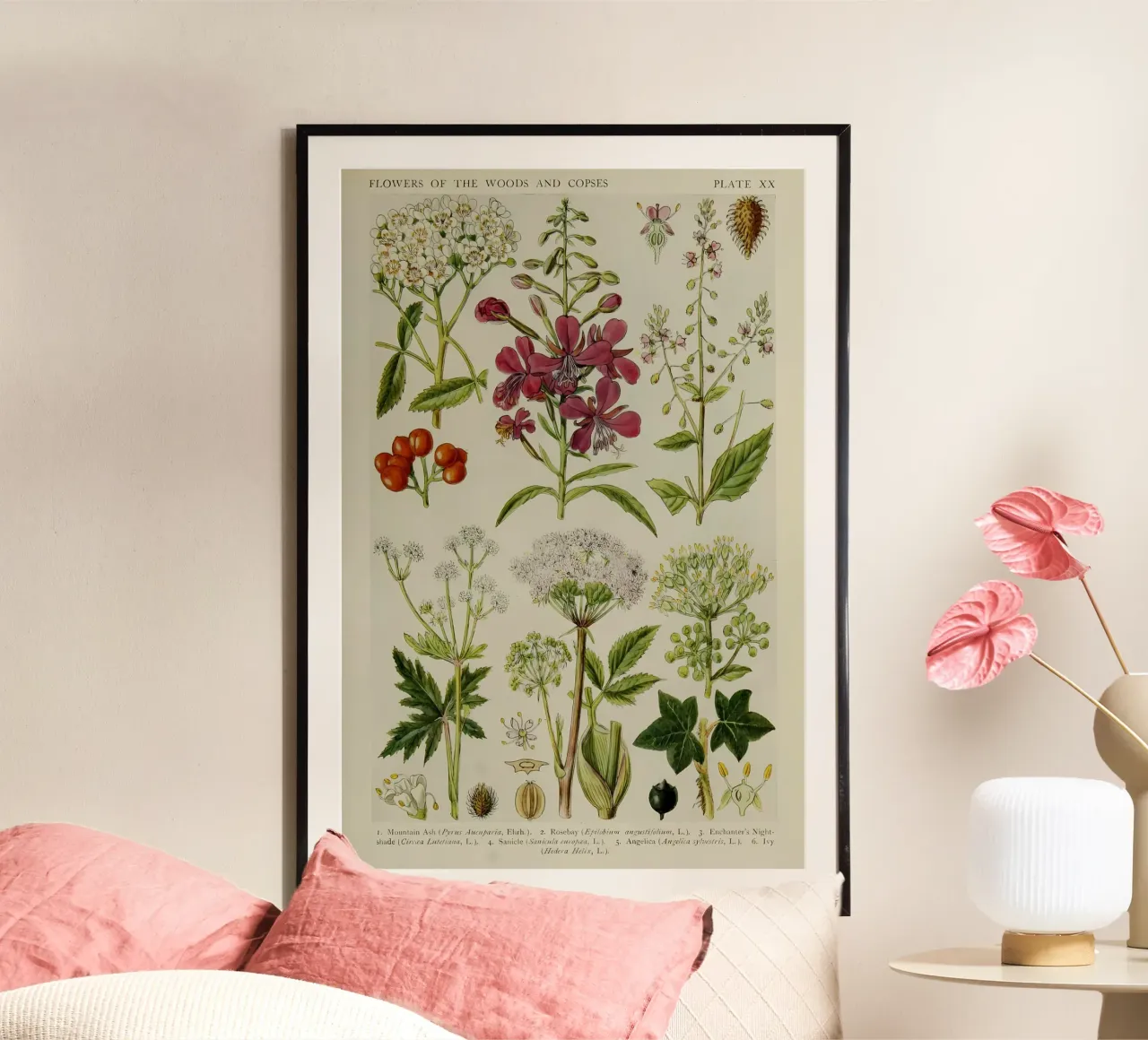 identificazione delle piante fiori selvatici poster da Amber Hughes