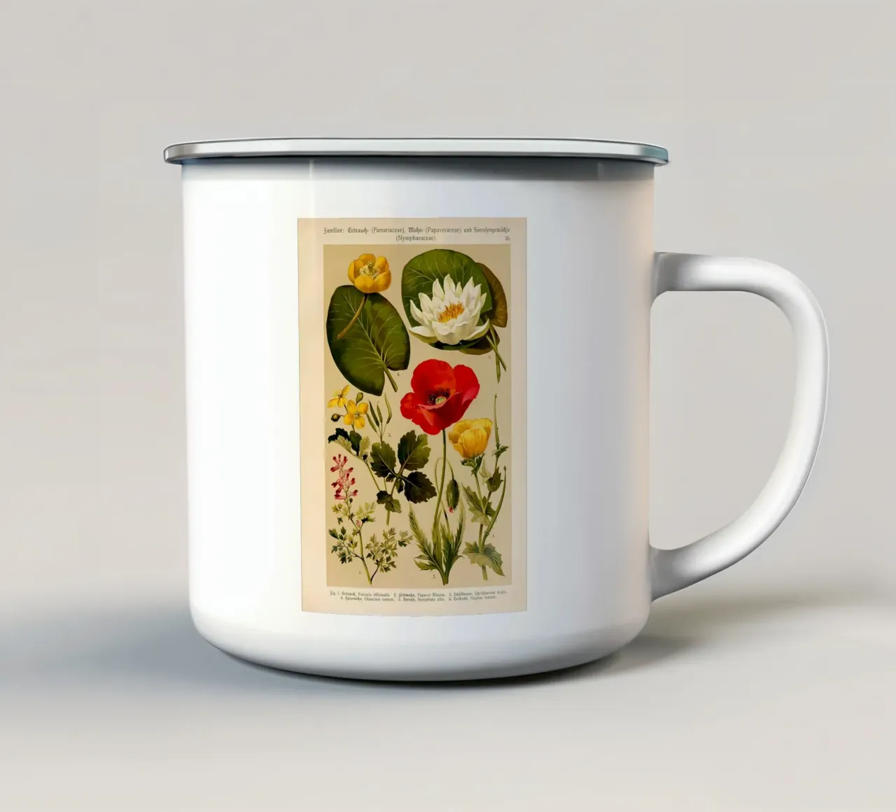 identificazione dei fiori etichettati tazza in smalto da Amber Hughes