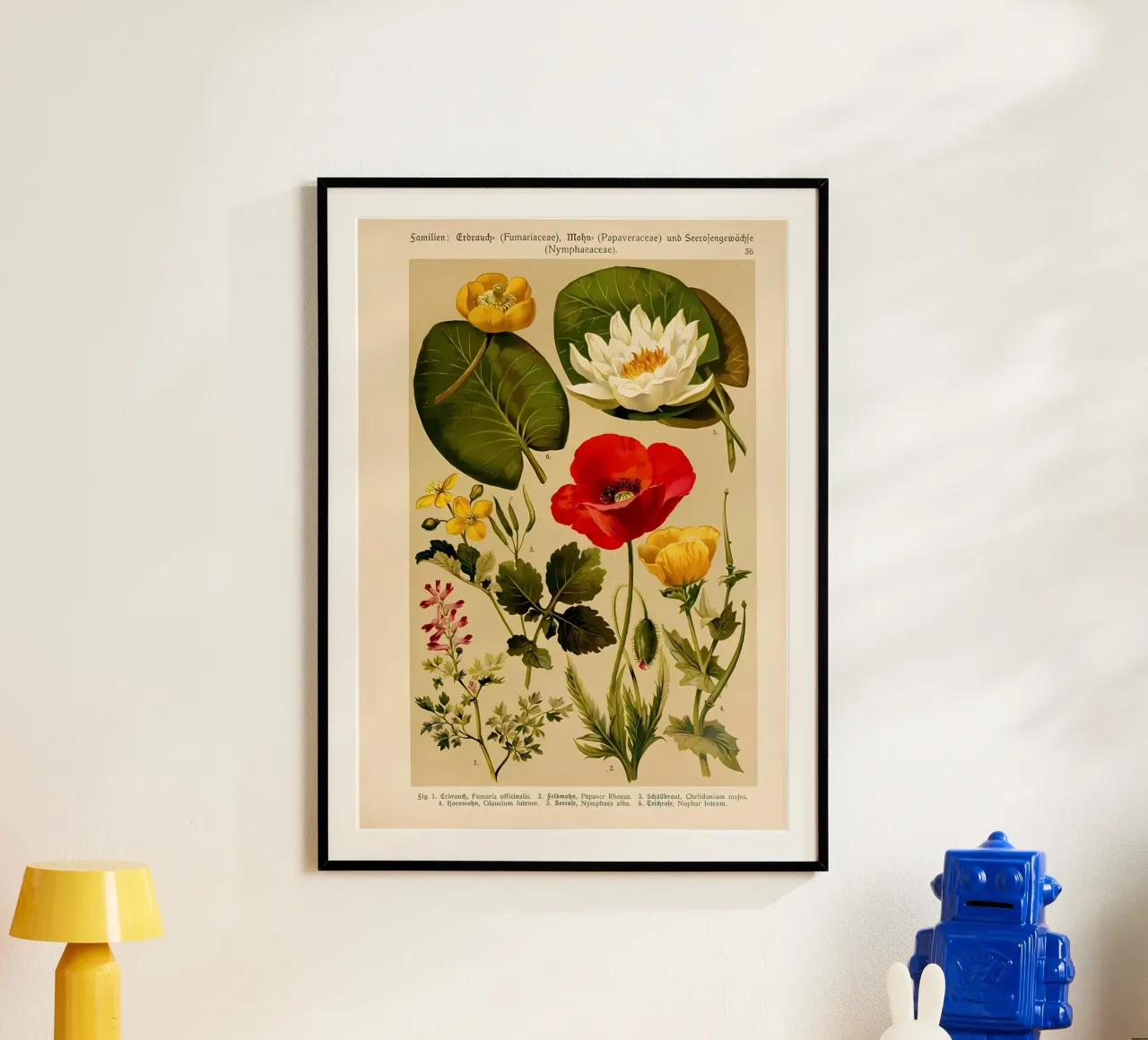 identificazione dei fiori etichettati poster con telaio in legno da Amber Hughes