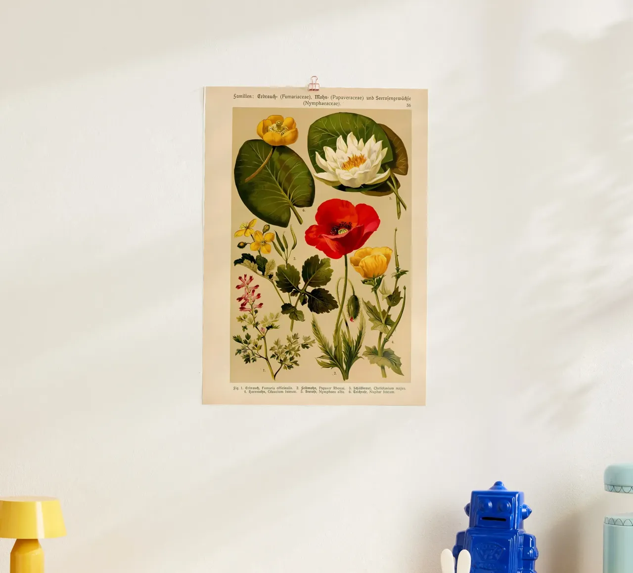 identificazione dei fiori etichettati poster con telaio in legno da Amber Hughes