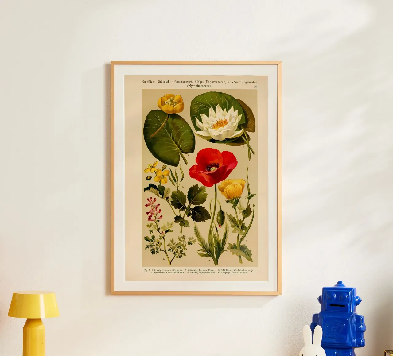 identificazione dei fiori etichettati poster con telaio in legno da Amber Hughes