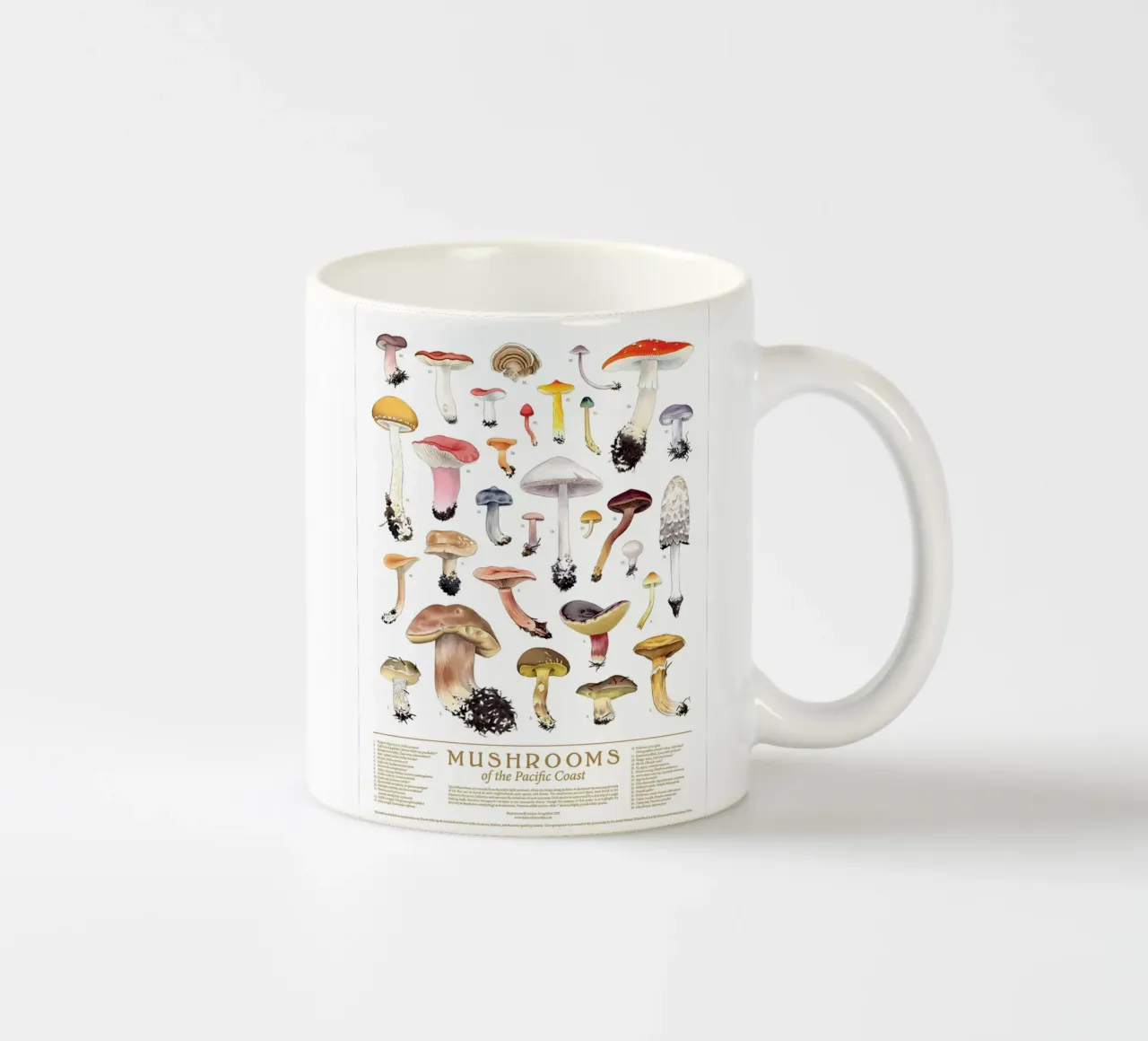 funghi funghi tazza in ceramica da Amber Hughes