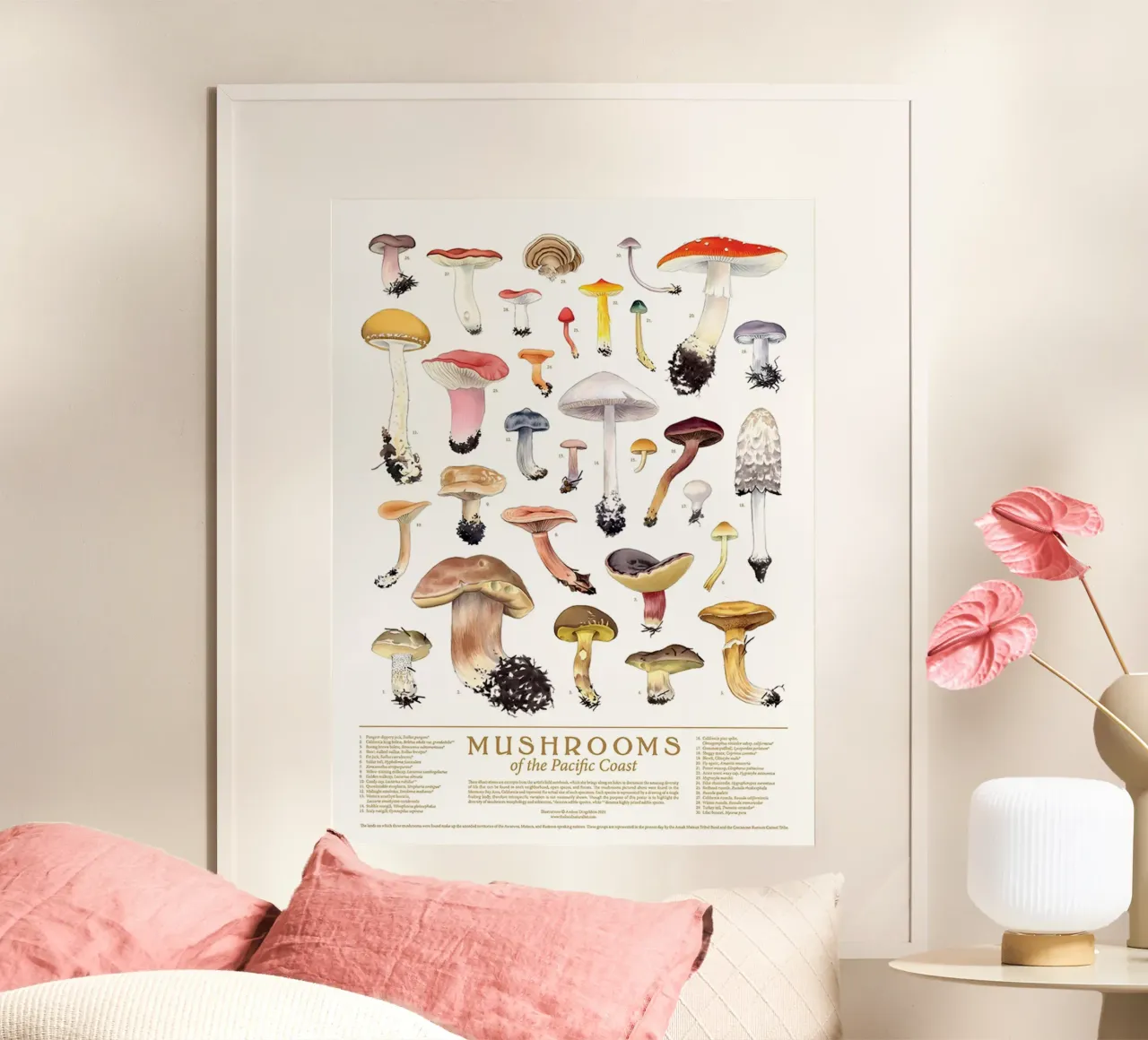 funghi funghi poster da Amber Hughes