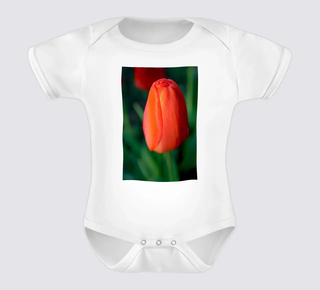 Red Tulip Unfolding – Minimal Botanical Close-Up short-sleeve baby romper by jay