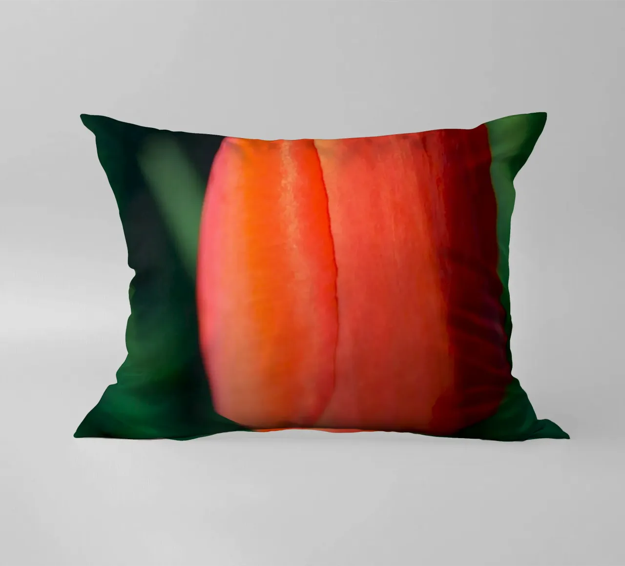 Red Tulip Unfolding – Minimal Botanical Close-Up decorative cushion by jay