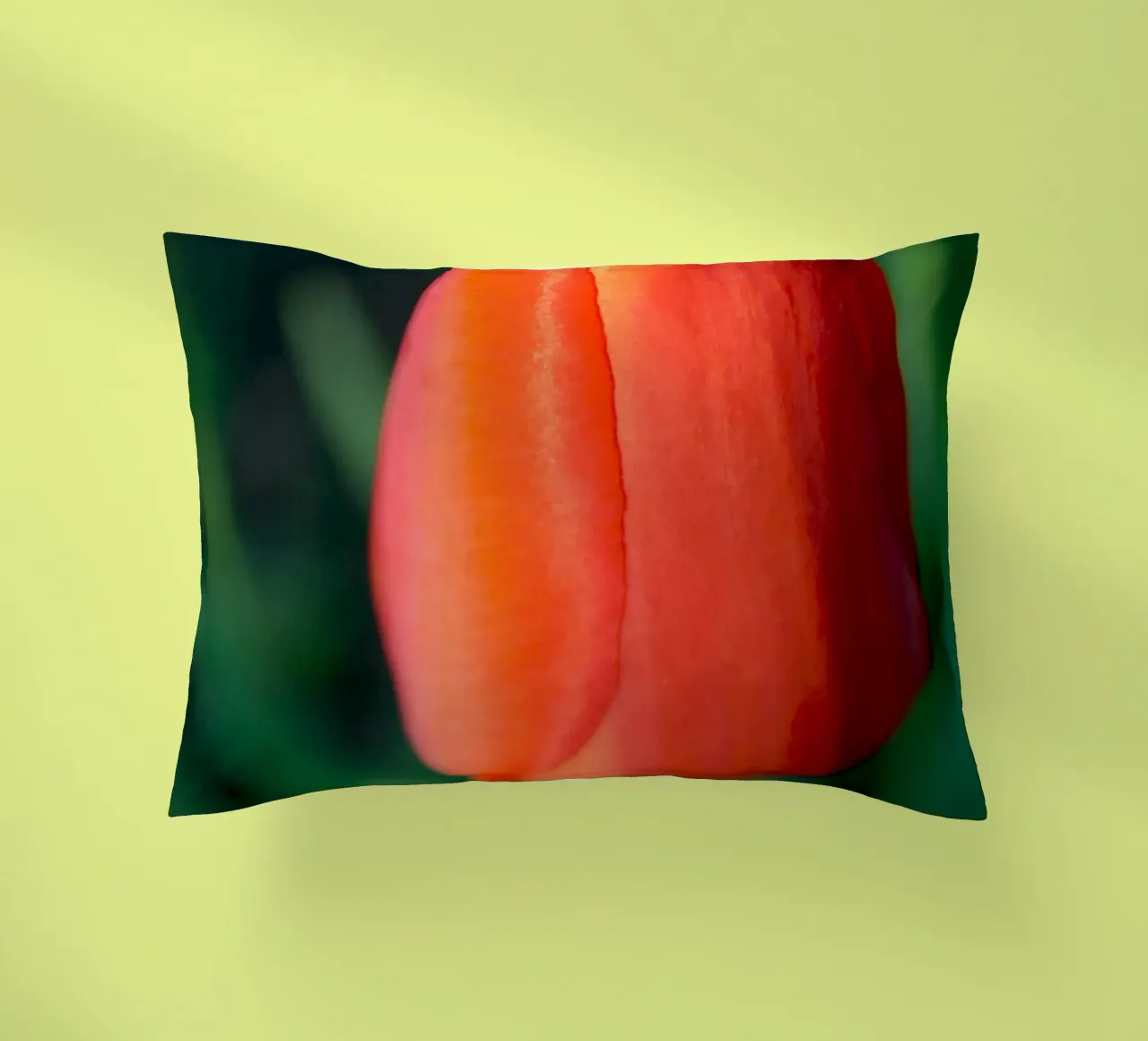 Red Tulip Unfolding – Minimal Botanical Close-Up decorative cushion by jay