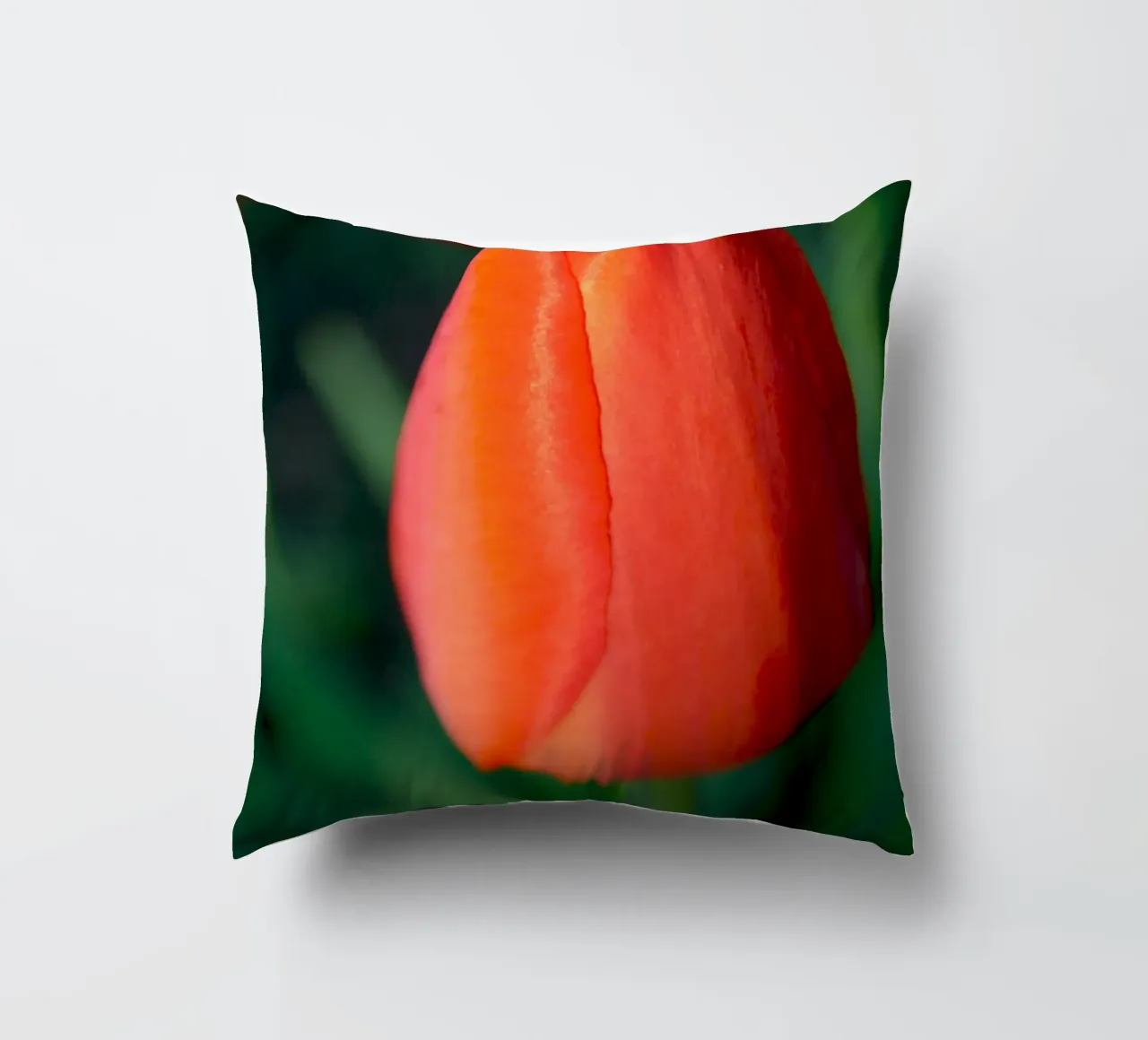 Red Tulip Unfolding – Minimal Botanical Close-Up decorative cushion by jay