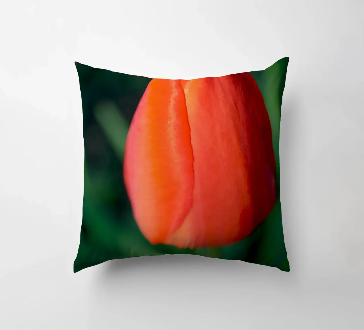 Red Tulip Unfolding – Minimal Botanical Close-Up decorative cushion by jay
