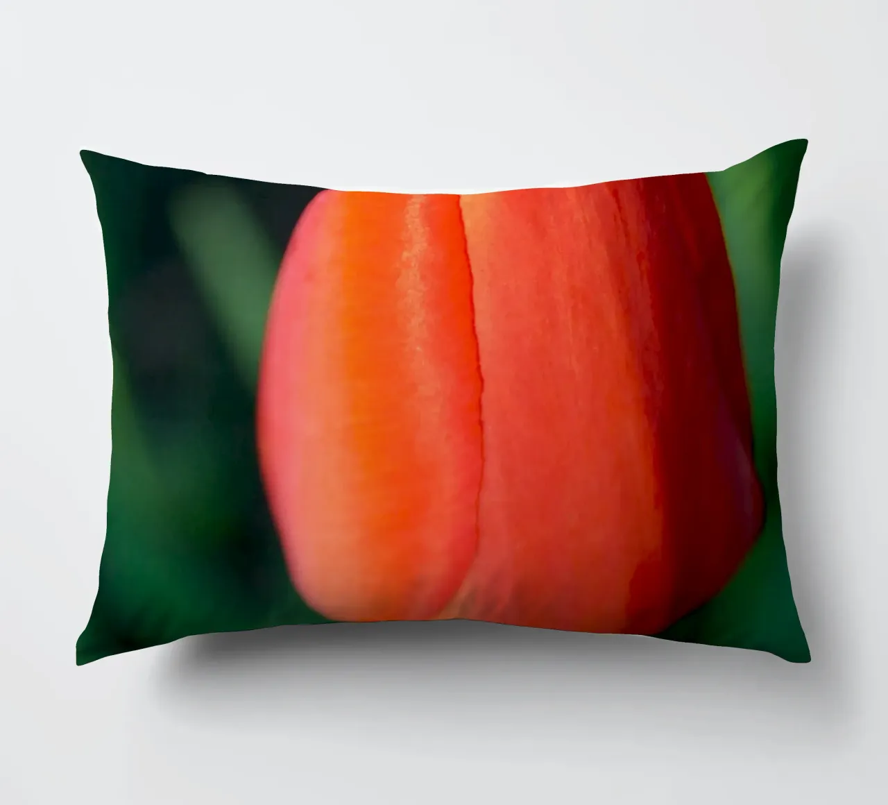 Red Tulip Unfolding – Minimal Botanical Close-Up decorative cushion by jay