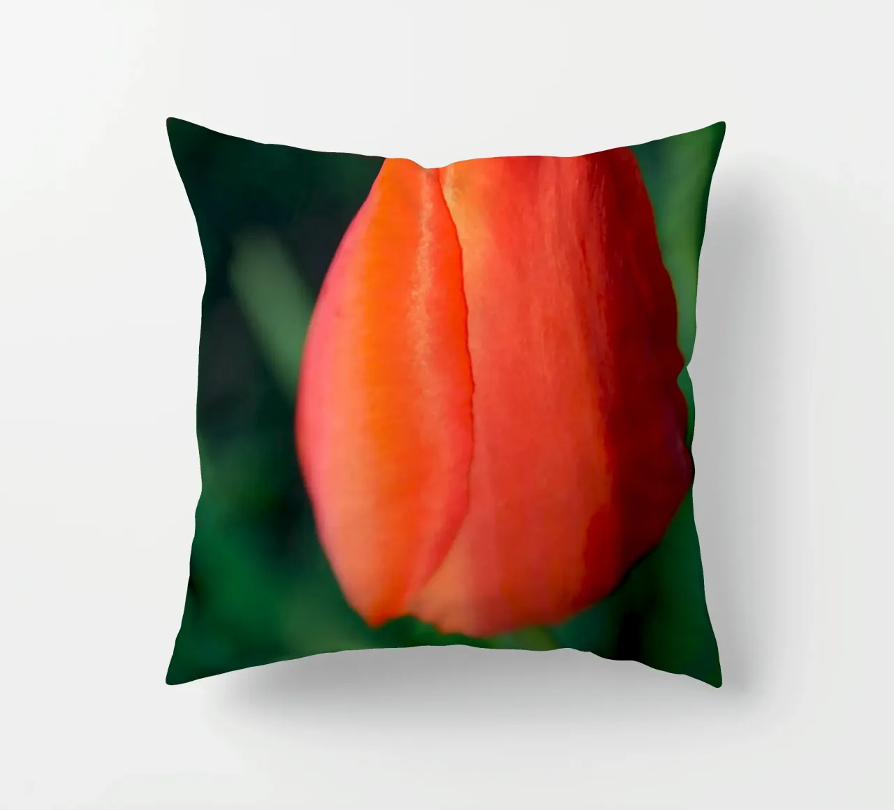 Red Tulip Unfolding – Minimal Botanical Close-Up decorative cushion by jay