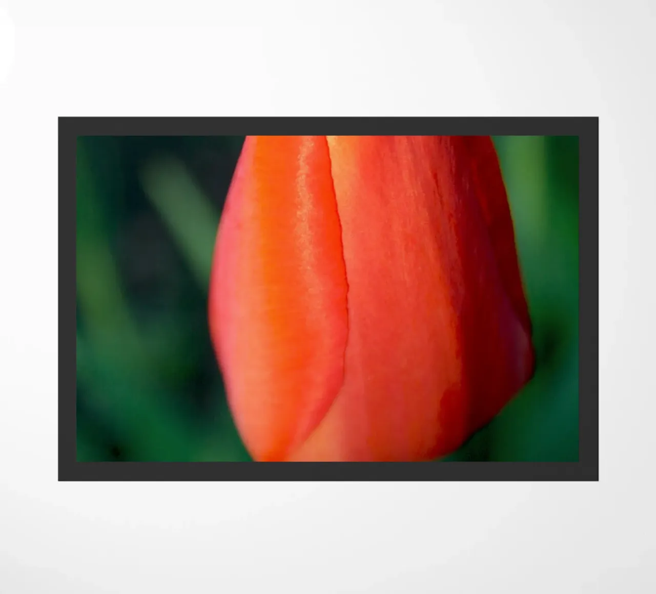 Red Tulip Unfolding – Minimal Botanical Close-Up doormat by jay