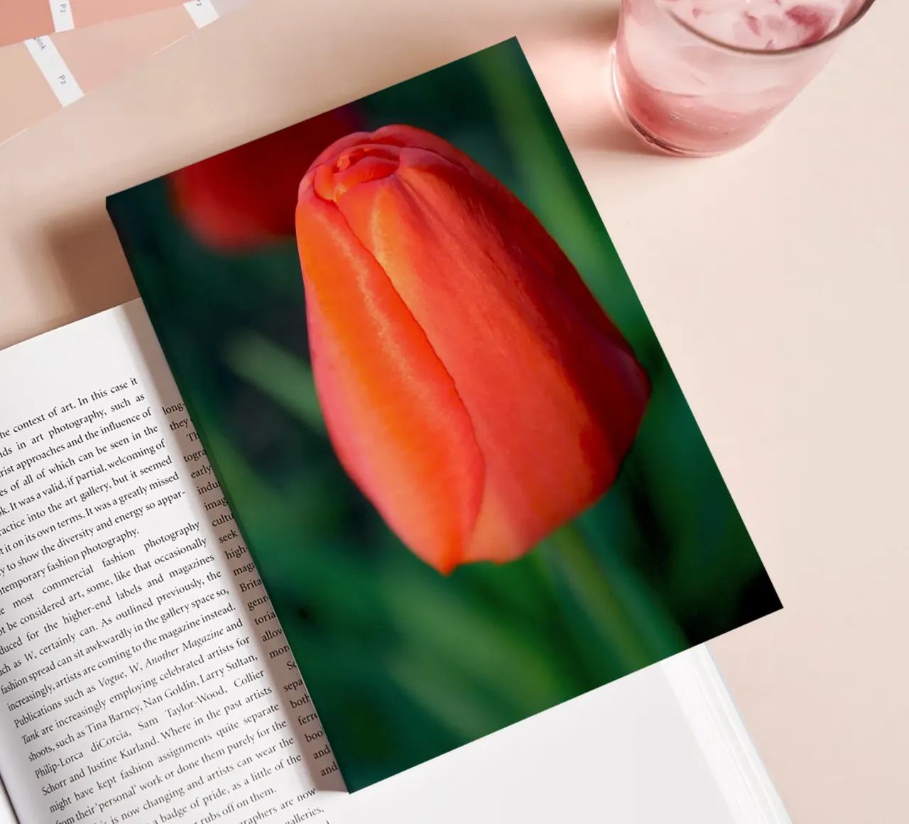 Red Tulip Unfolding – Minimal Botanical Close-Up notebook by jay