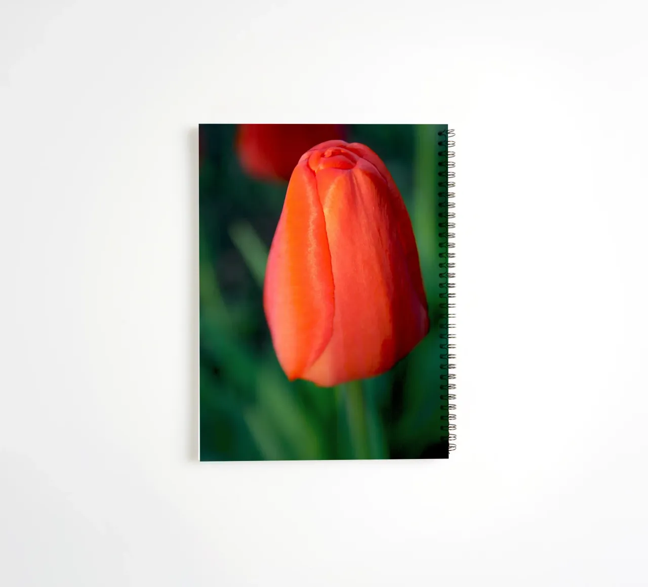 Red Tulip Unfolding – Minimal Botanical Close-Up spiral notebook by jay