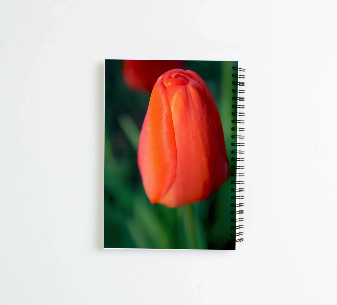 Red Tulip Unfolding – Minimal Botanical Close-Up spiral notebook by jay