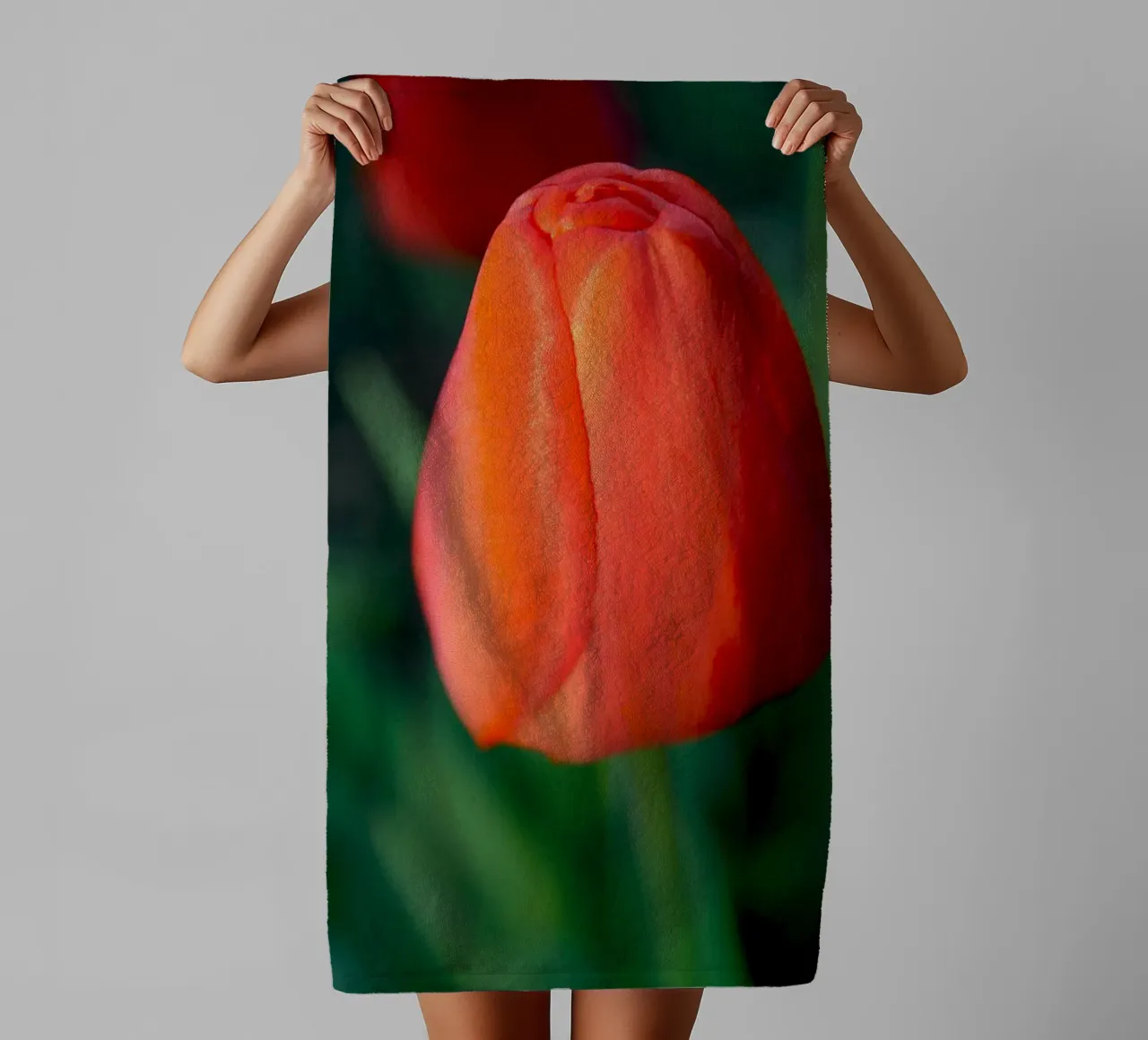 Rote Tulpe Entfaltung - Minimale botanische Nahaufnahme Handtuch von jay
