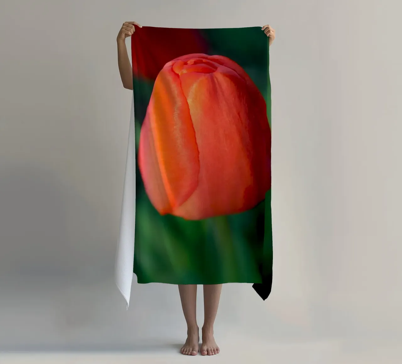 Red Tulip Unfolding – Minimal Botanical Close-Up beach towel by jay