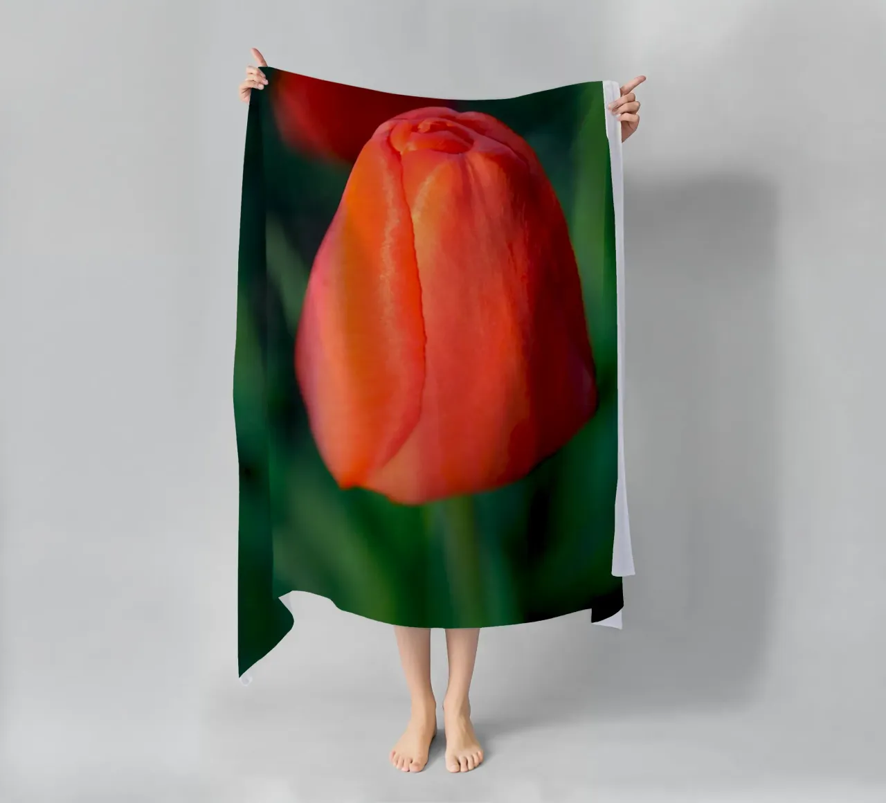 Red Tulip Unfolding – Minimal Botanical Close-Up beach towel by jay
