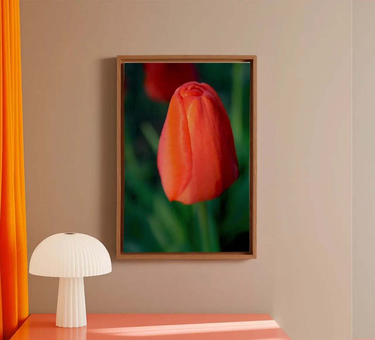 Tulipano rosso che si dispiega - Primo piano botanico minimale tela con Cornice a cassetta da jay