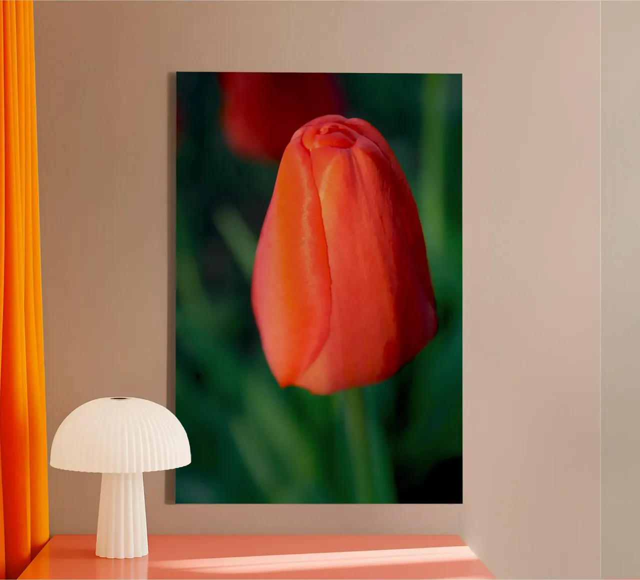 Tulipano rosso che si dispiega - Primo piano botanico minimale tela con Cornice a cassetta da jay