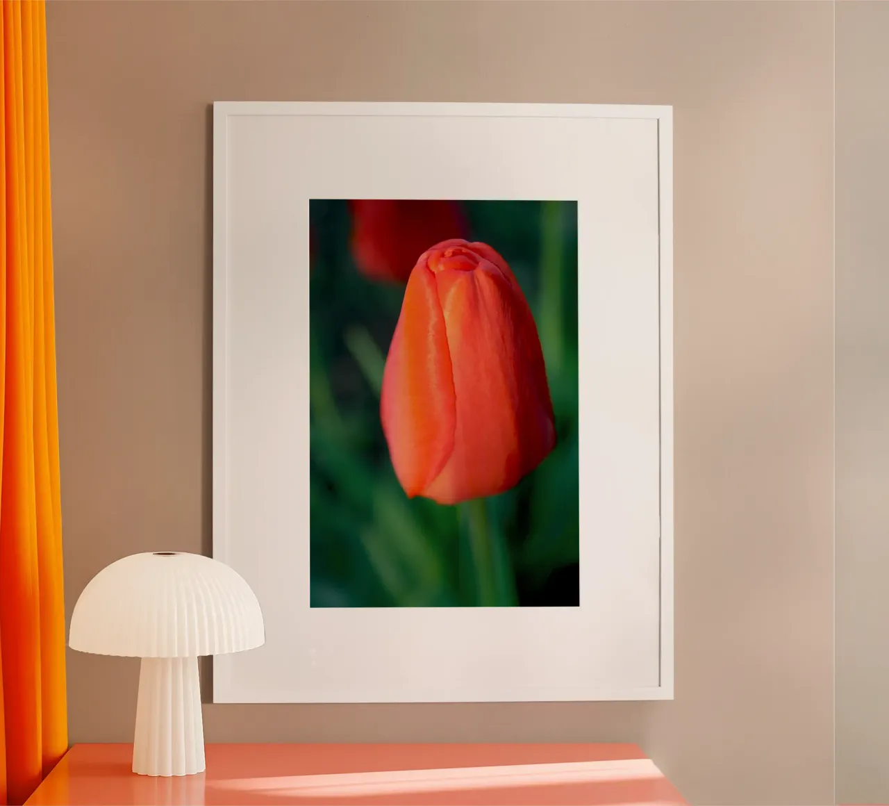 Tulipano rosso che si dispiega - Primo piano botanico minimale poster con telaio in alluminio da jay