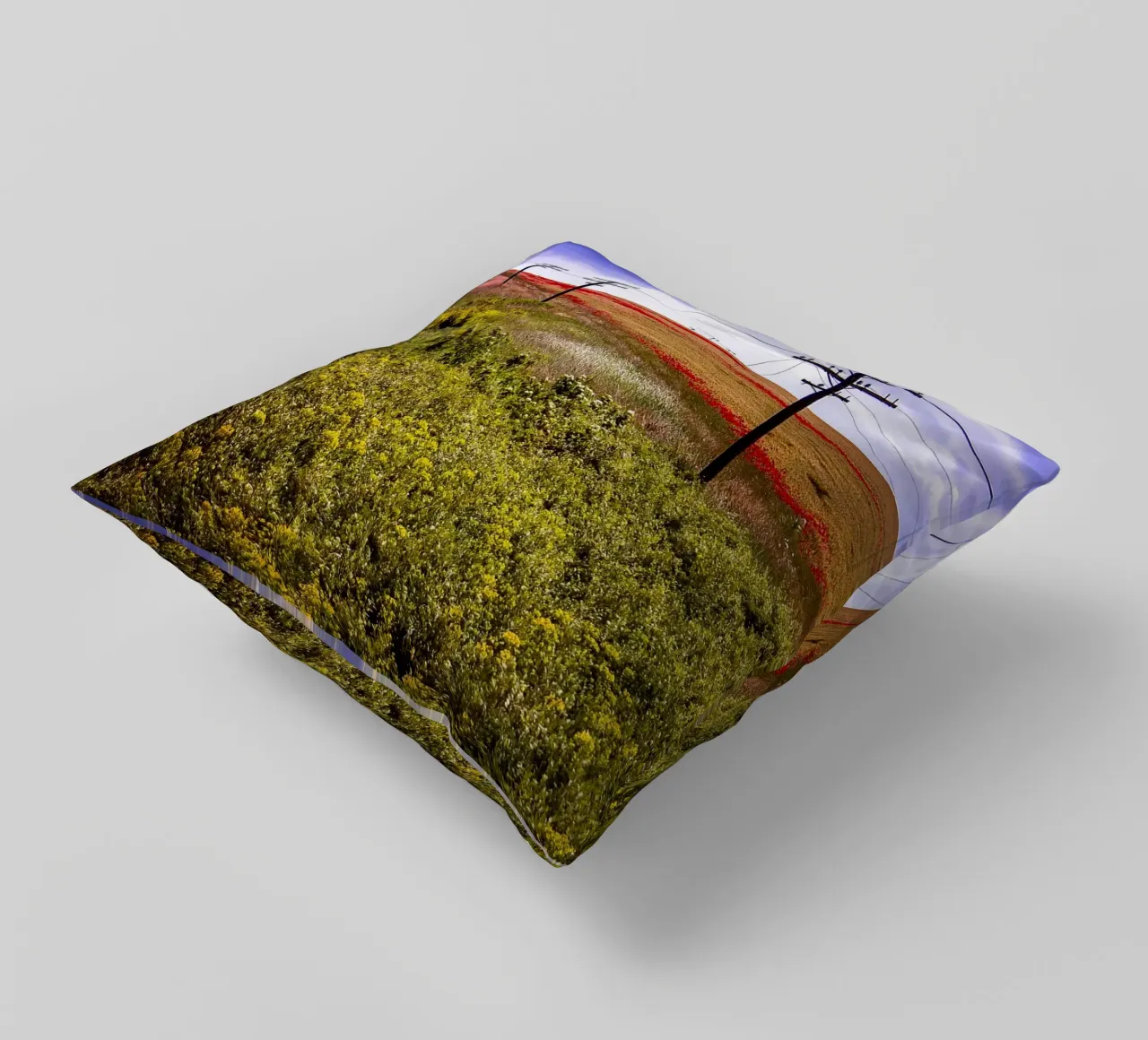 Spring is Loading in Romania – Wildflower Field from Train W decorative cushion by jay