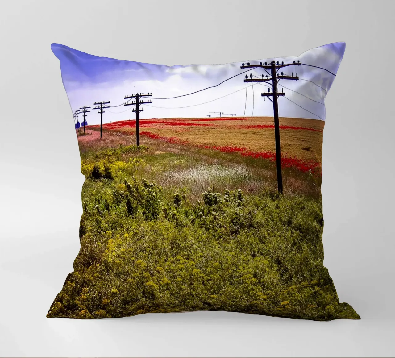 Spring is Loading in Romania – Wildflower Field from Train W decorative cushion by jay