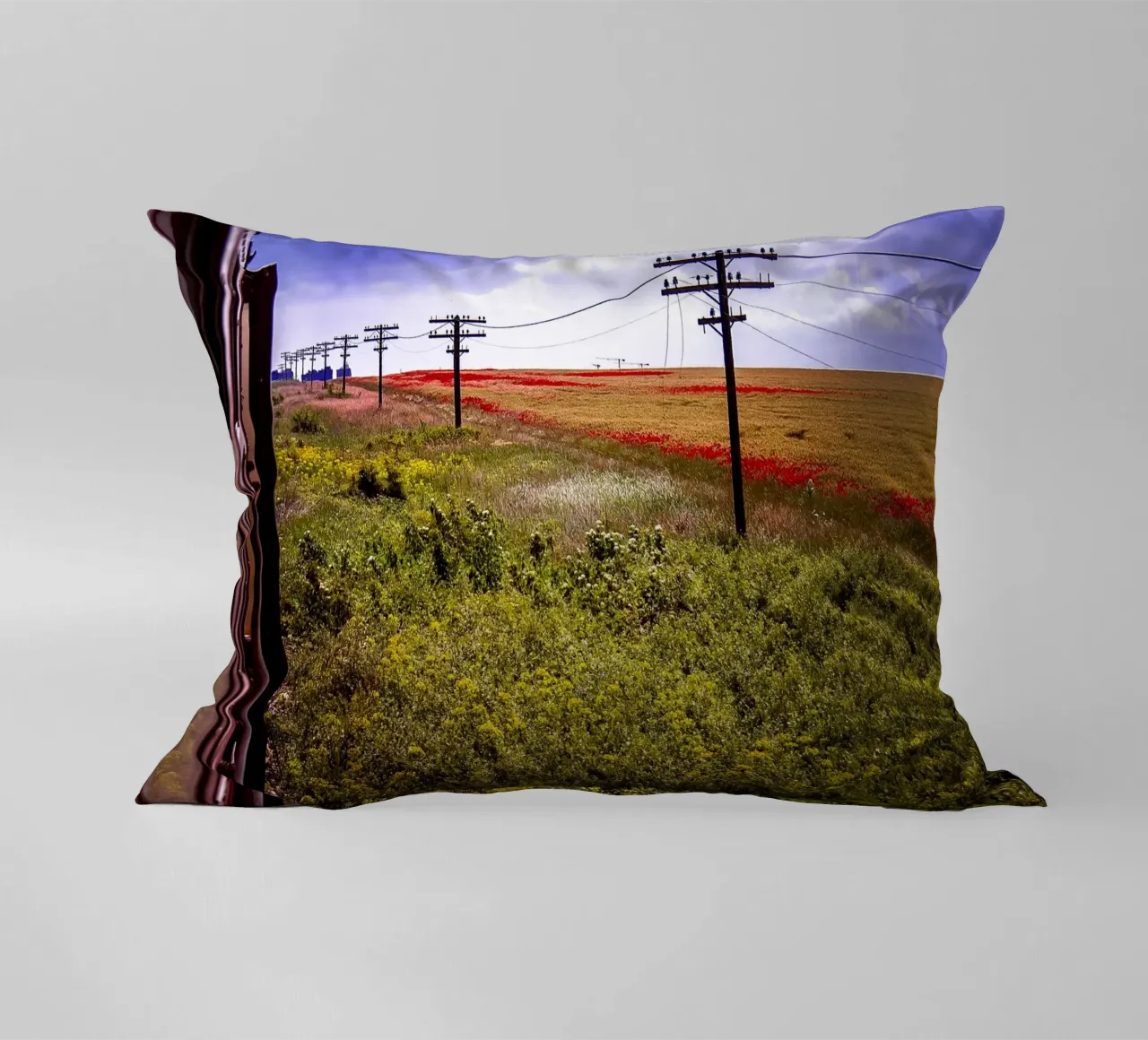 Spring is Loading in Romania – Wildflower Field from Train W decorative cushion by jay