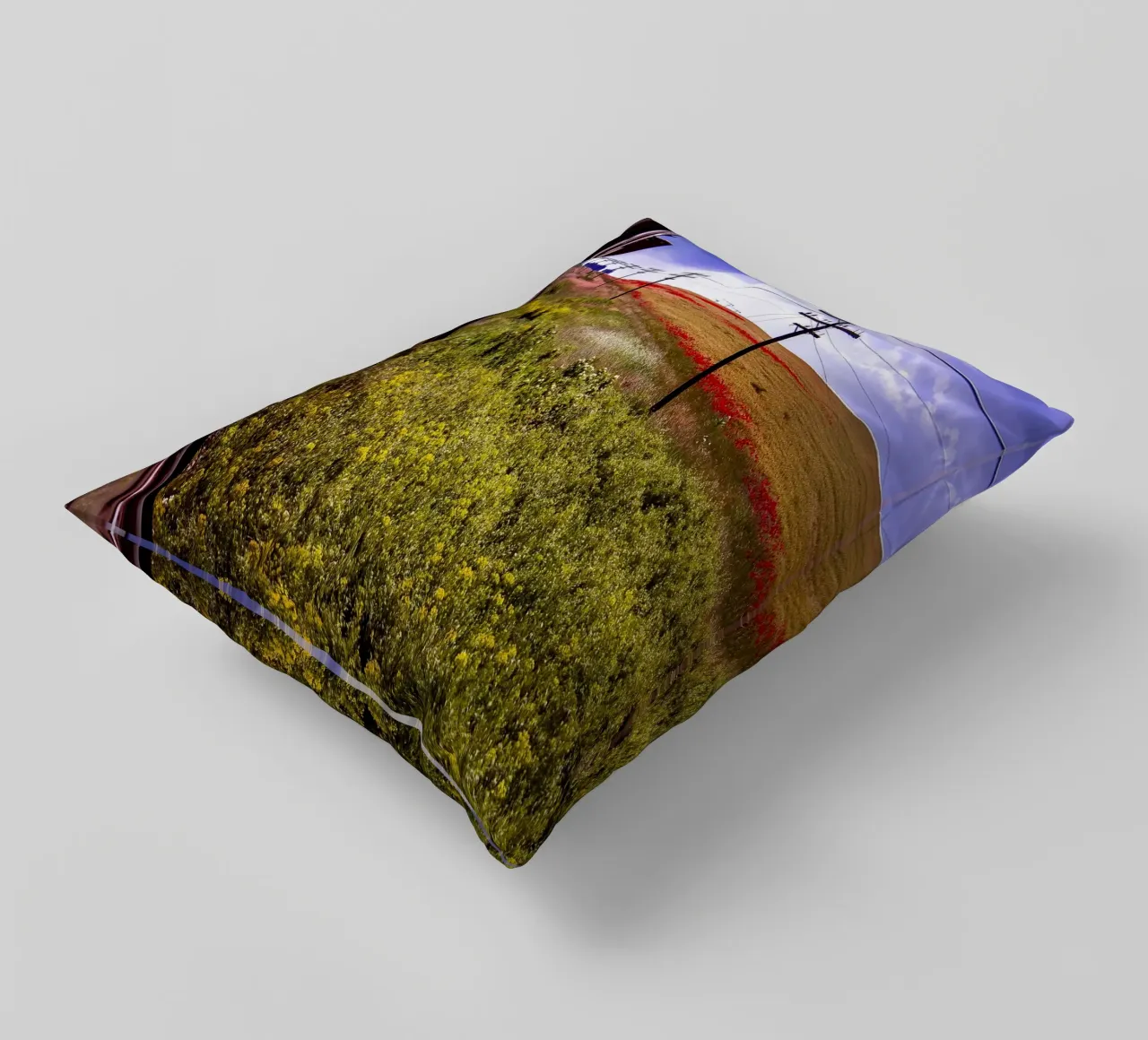 Spring is Loading in Romania – Wildflower Field from Train W decorative cushion by jay