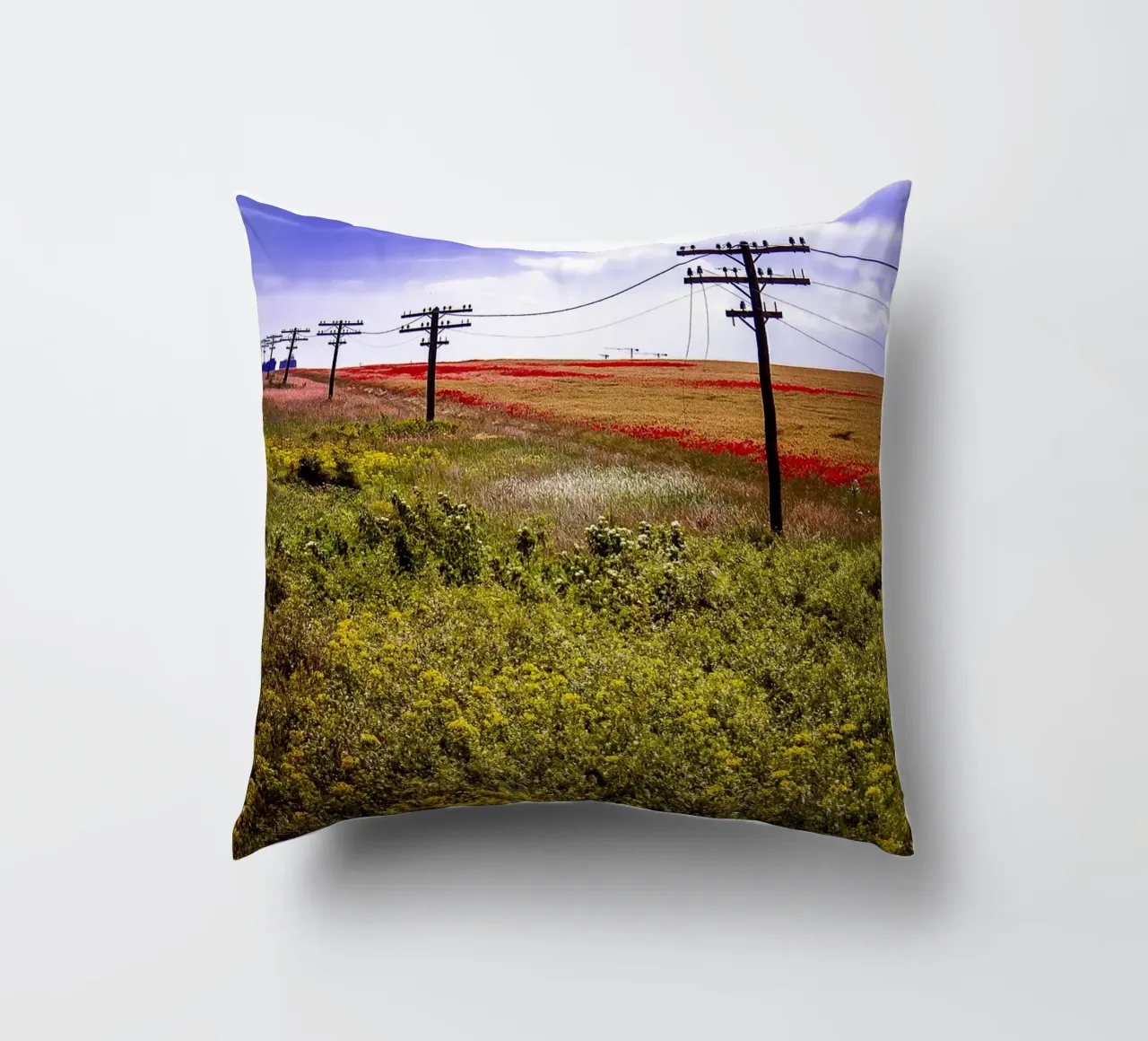 Spring is Loading in Romania – Wildflower Field from Train W decorative cushion by jay