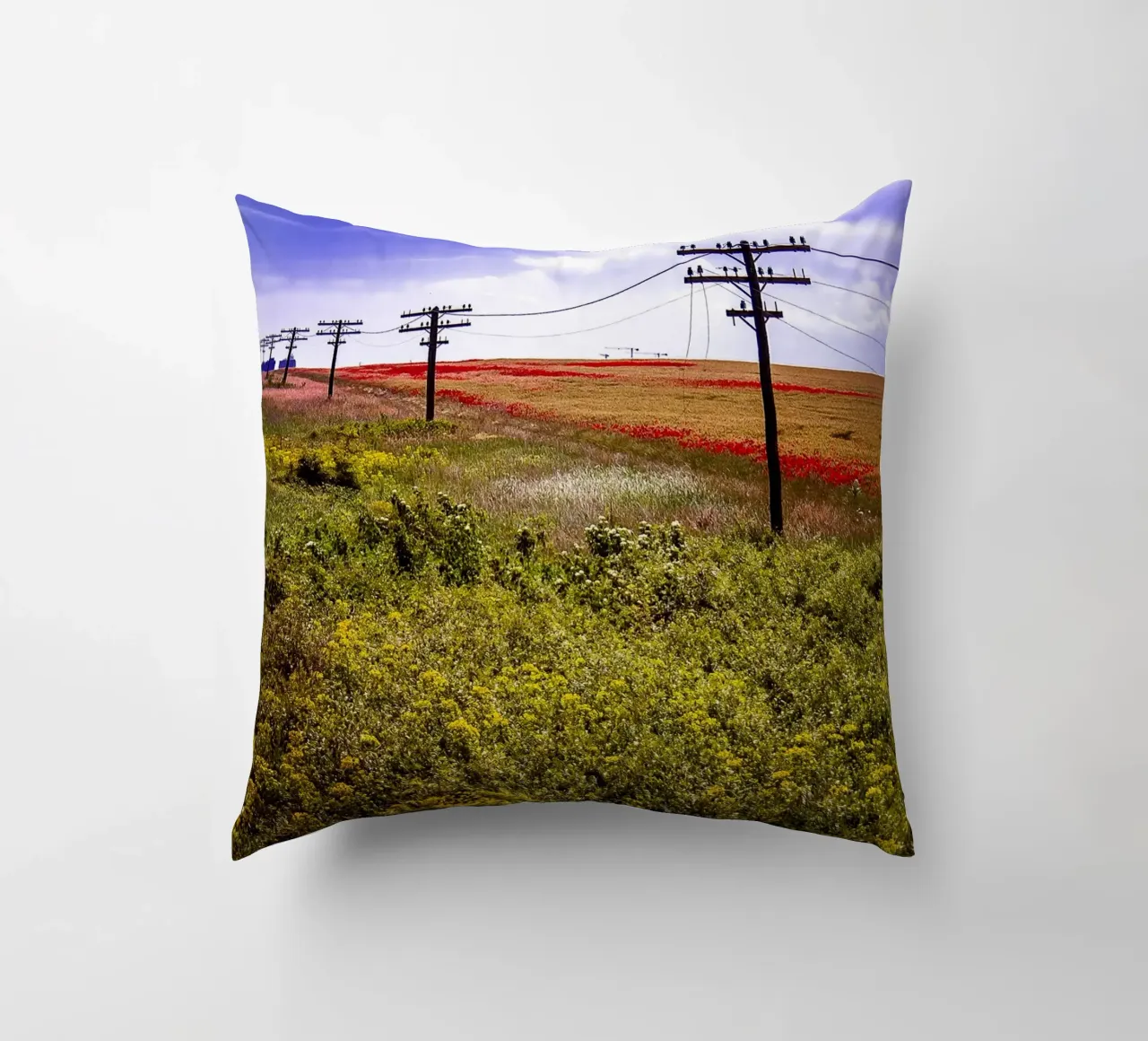 Spring is Loading in Romania – Wildflower Field from Train W decorative cushion by jay