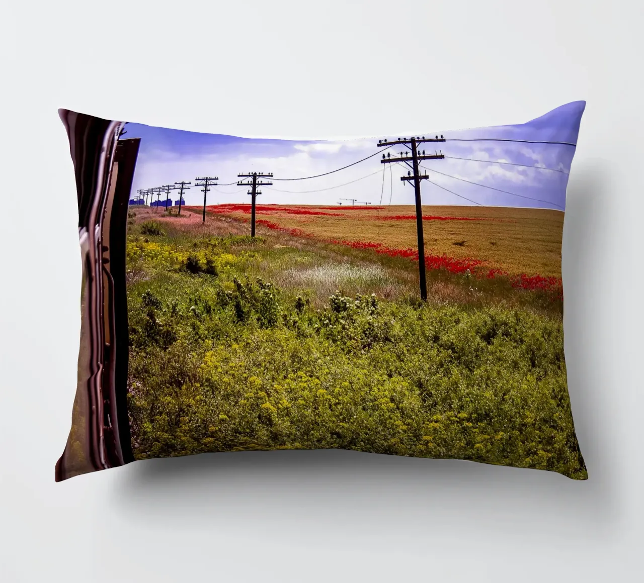 Spring is Loading in Romania – Wildflower Field from Train W decorative cushion by jay