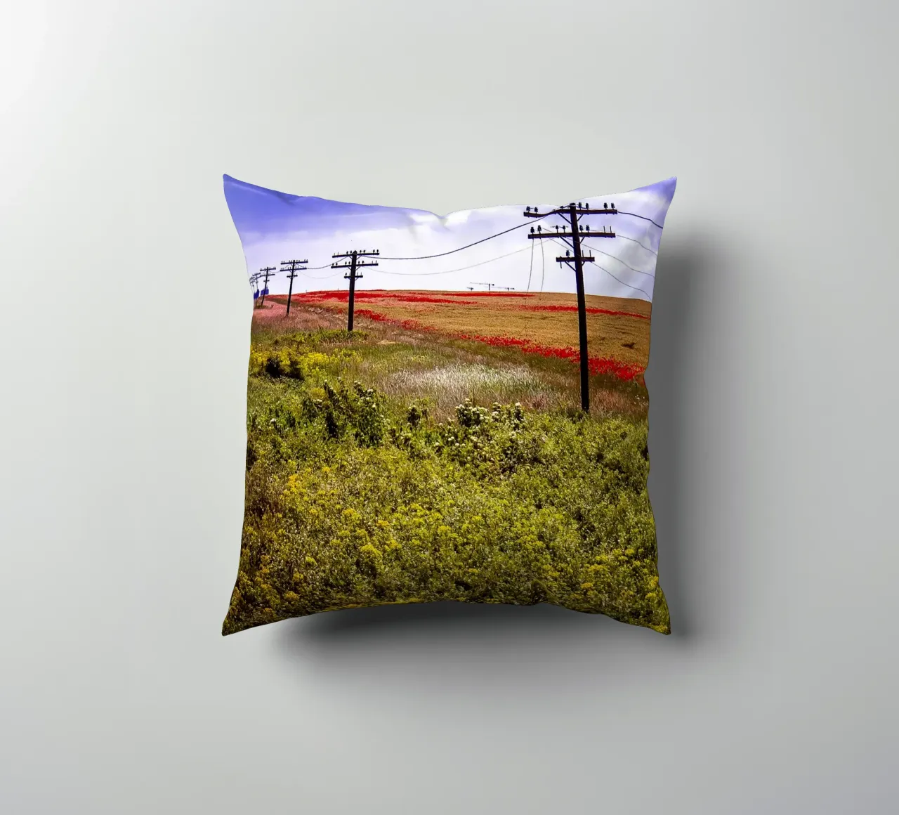 Spring is Loading in Romania – Wildflower Field from Train W decorative cushion by jay