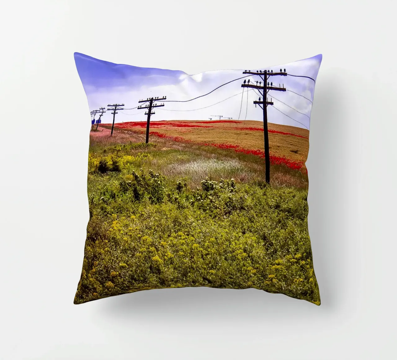 Spring is Loading in Romania – Wildflower Field from Train W decorative cushion by jay