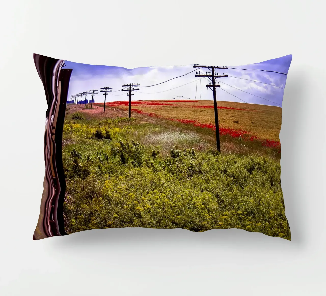 Spring is Loading in Romania – Wildflower Field from Train W decorative cushion by jay