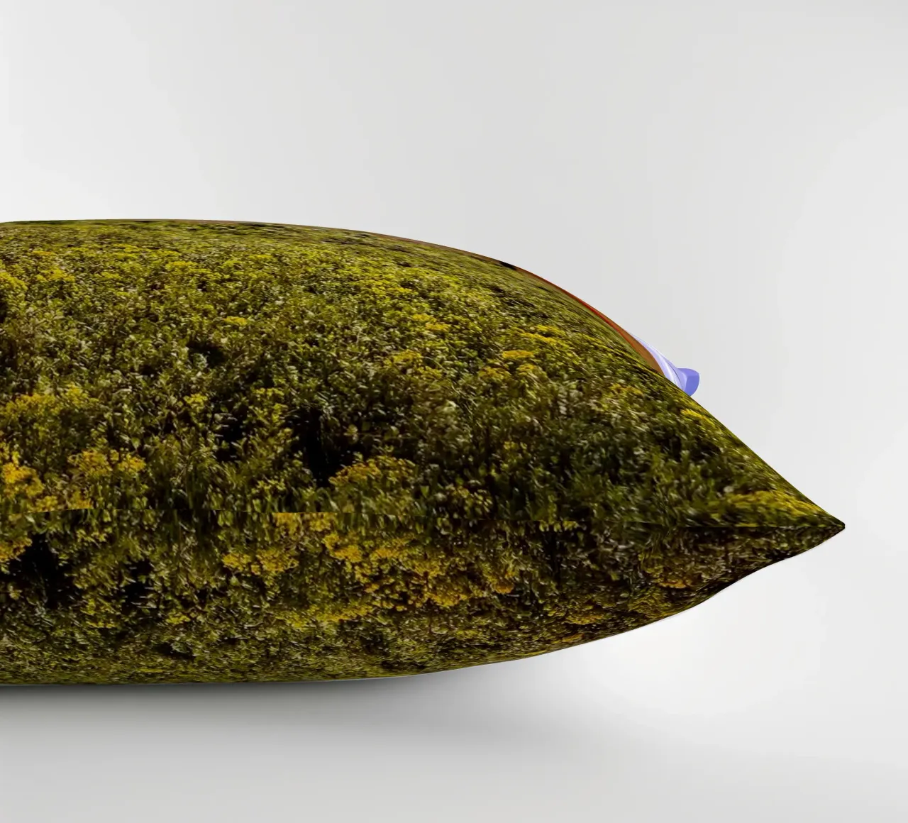 Spring is Loading in Romania – Wildflower Field from Train W decorative cushion by jay