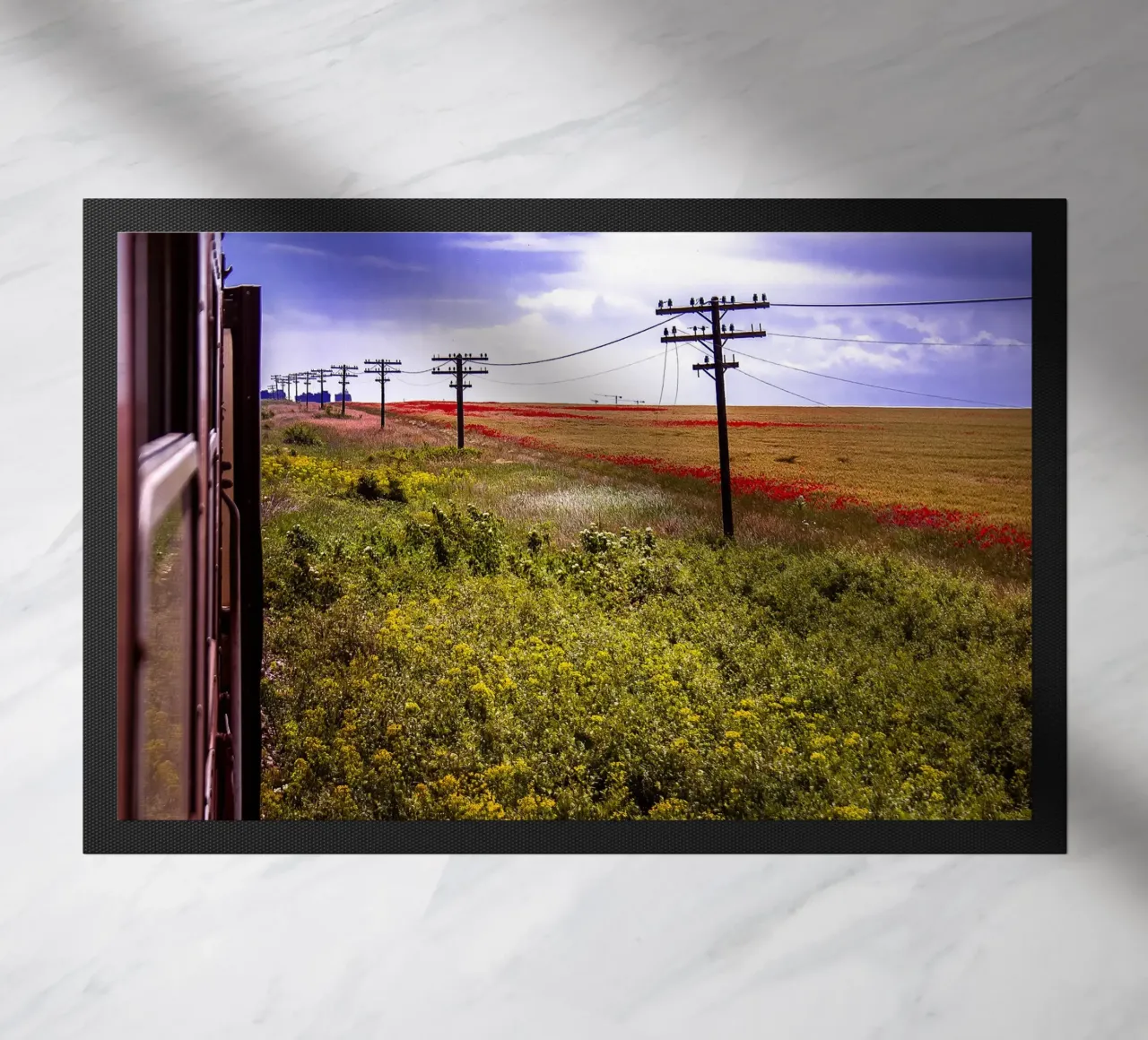 Spring is Loading in Romania – Wildflower Field from Train W doormat by jay