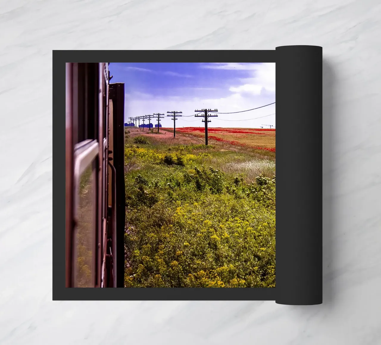 Spring is Loading in Romania – Wildflower Field from Train W doormat by jay