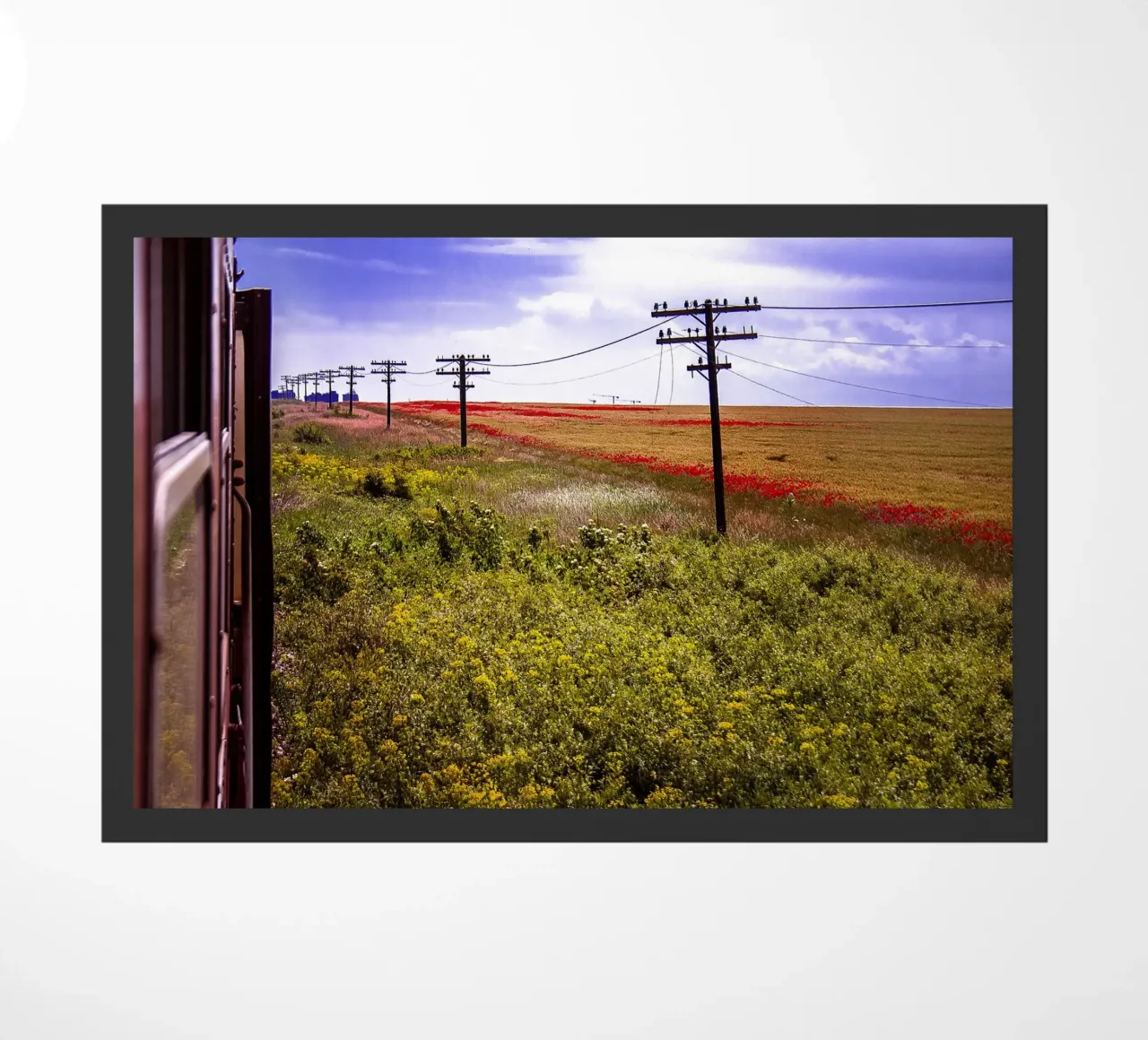 Spring is Loading in Romania – Wildflower Field from Train W doormat by jay
