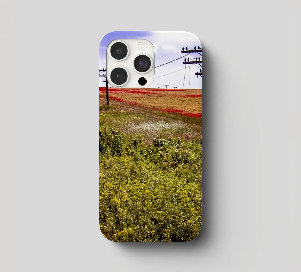 Spring is Loading in Romania – Wildflower Field from Train W iphone case by jay