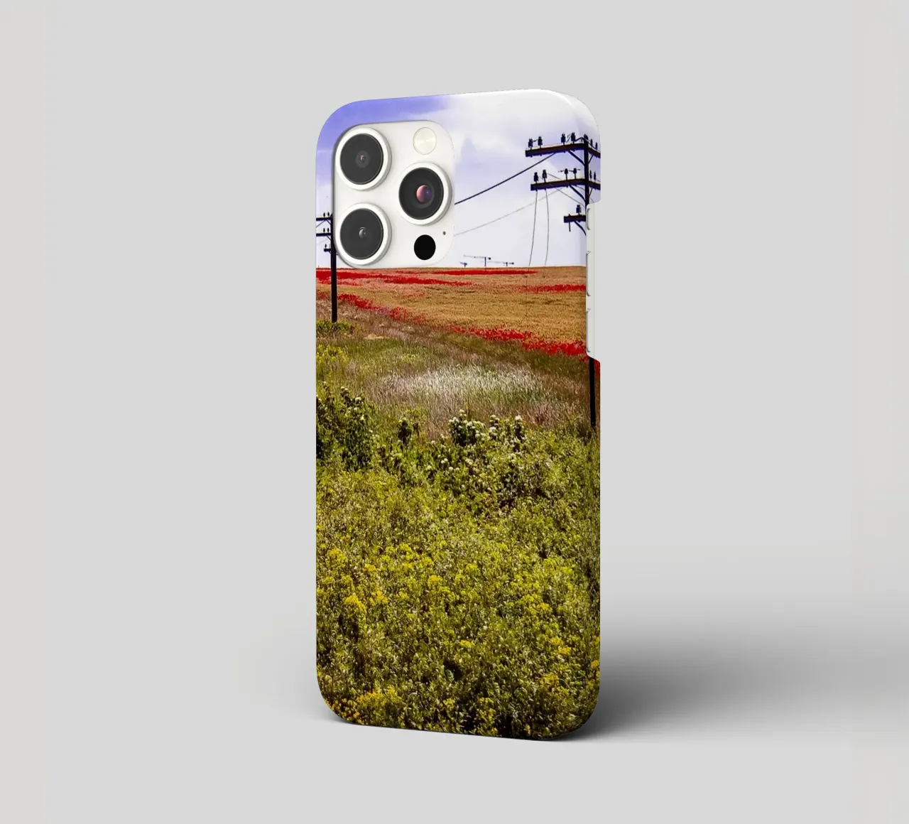 Spring is Loading in Romania – Wildflower Field from Train W iphone case by jay