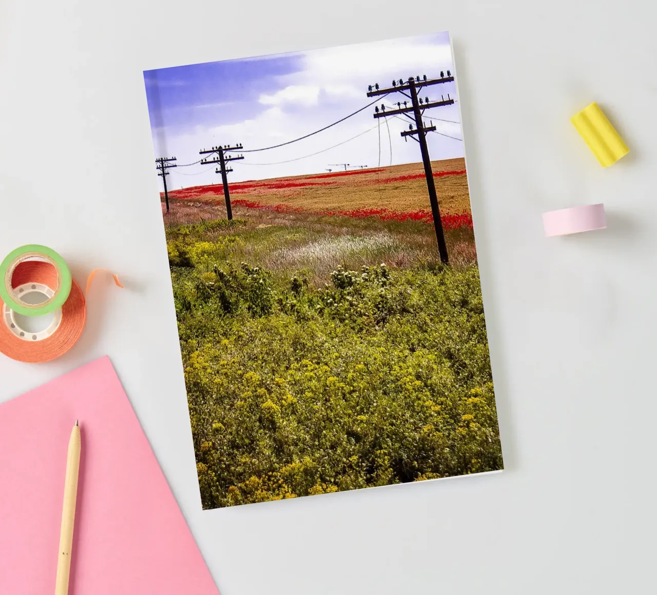 Spring is Loading in Romania – Wildflower Field from Train W notebook by jay