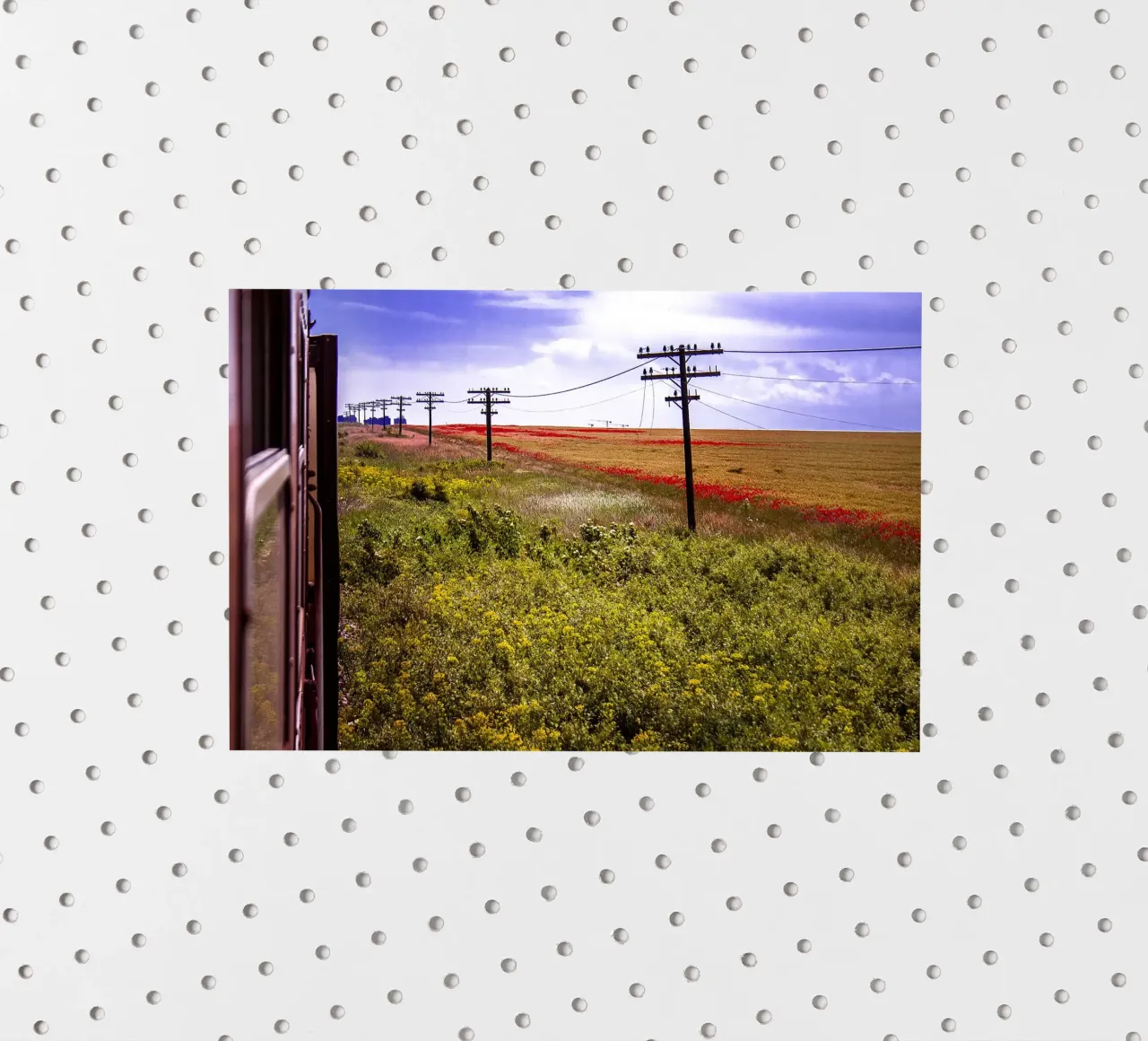 Spring is Loading in Romania – Wildflower Field from Train W sticker by jay