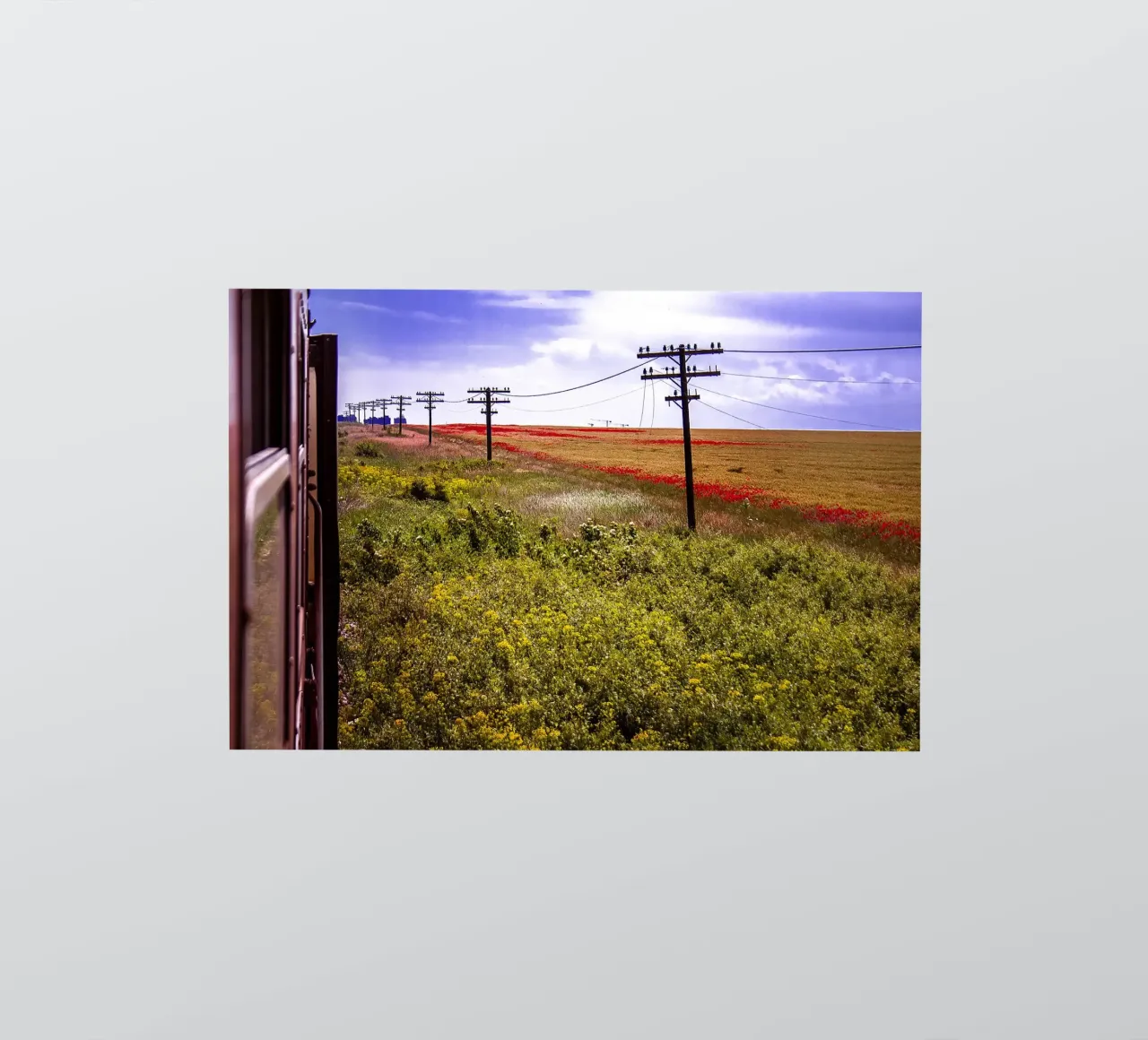Spring is Loading in Romania – Wildflower Field from Train W sticker by jay