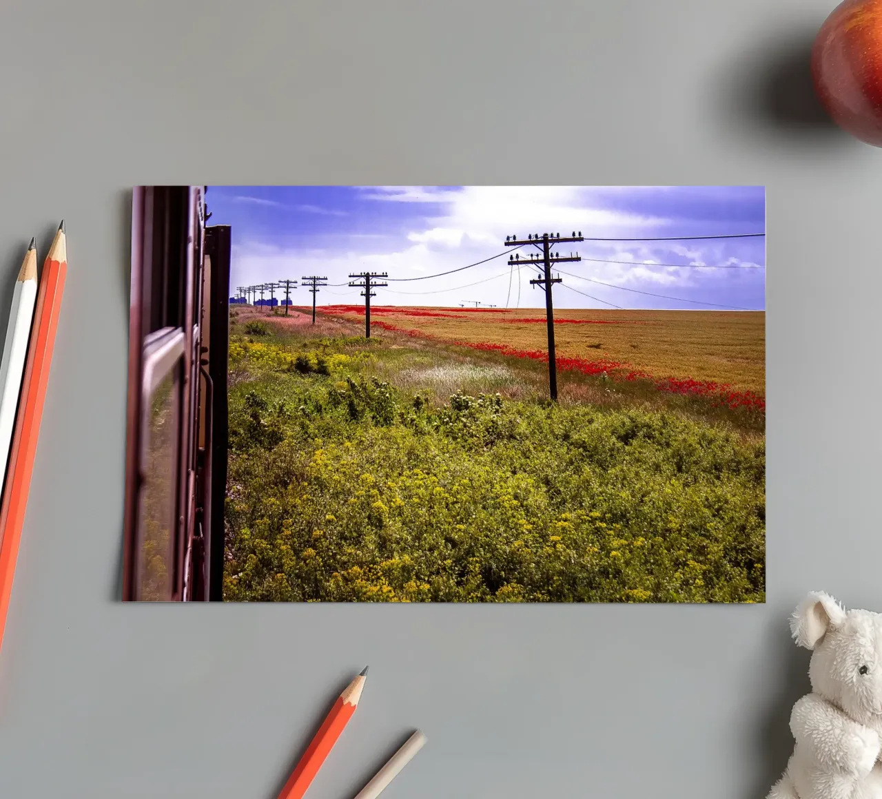 Spring is Loading in Romania – Wildflower Field from Train W sticker sheet by jay