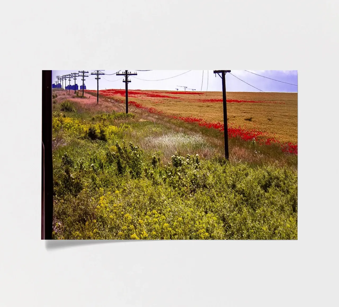 Spring is Loading in Romania – Wildflower Field from Train W sticker sheet by jay